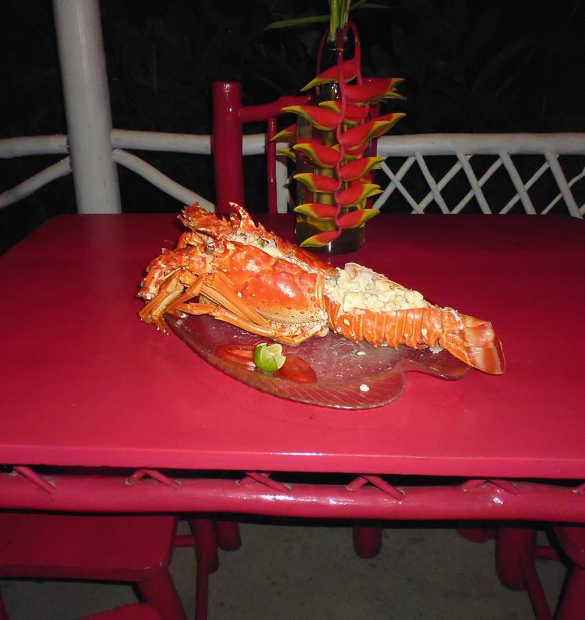 Hotel La Casa Rosada Lívingston 外观 照片